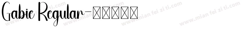 Gabie Regular字体转换